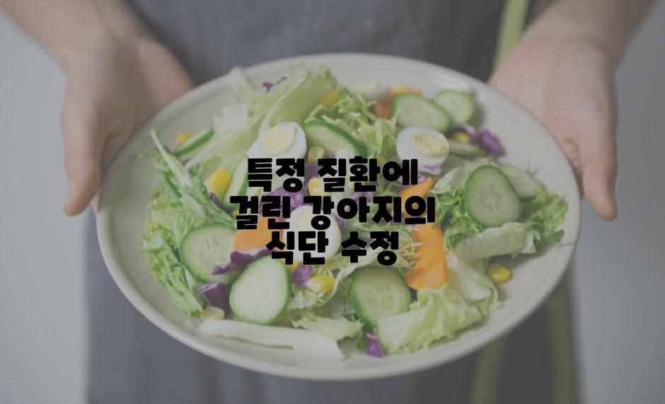특정 질환에 걸린 강아지의 식단 수정