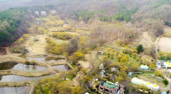 이천9경-산수유마을