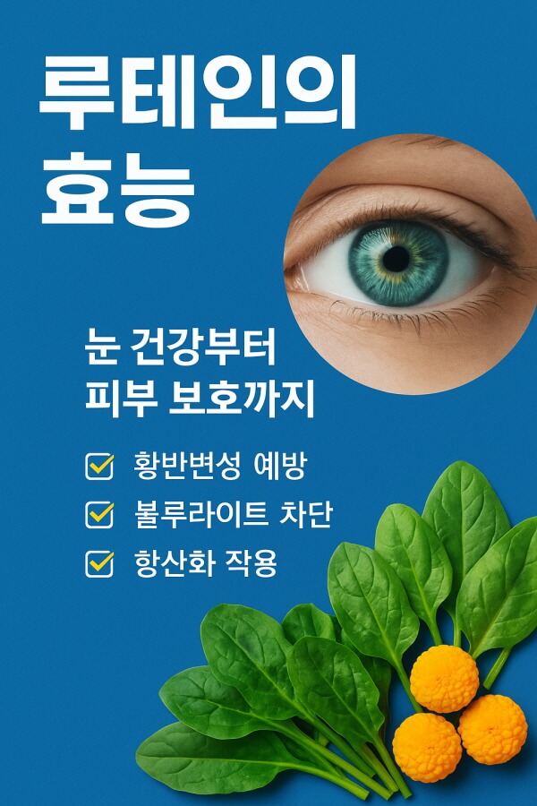 루테인의 효능/gpt