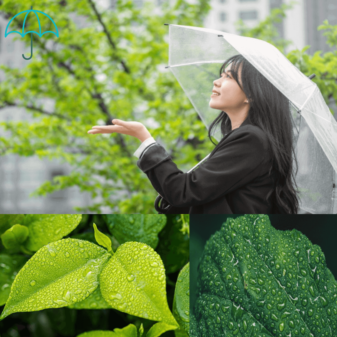 비 온 후 잎과 길거리를 걷는 사람의 사진