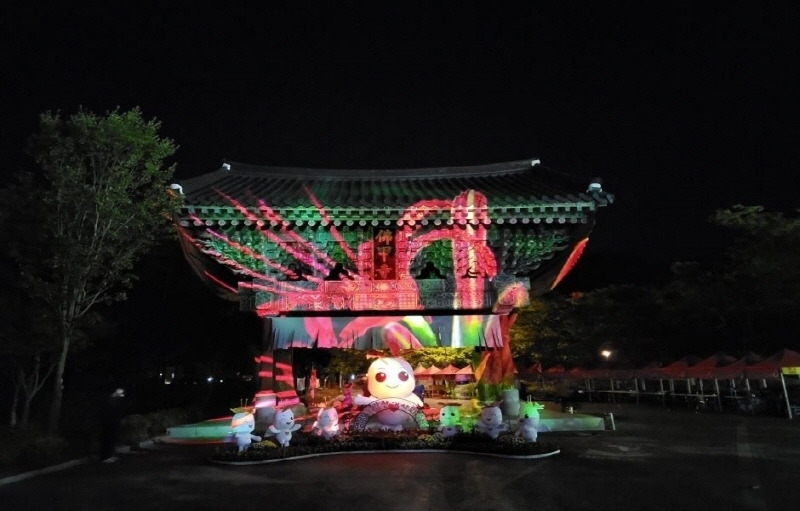 영광 불갑산 상사화 축제 야간