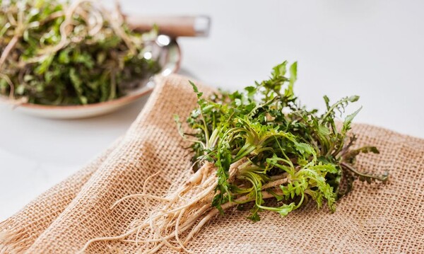 냉이 손질, 보관법