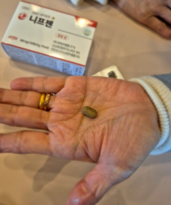 니프젠 스파이크 내돈내산 효과 