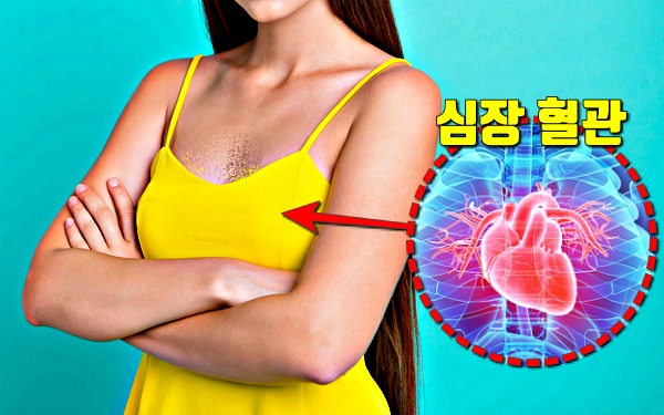 심장에 안좋은 습관 행동,혈관