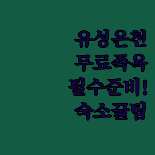 대전 힐링 여행 유성온천 무료 족욕장..