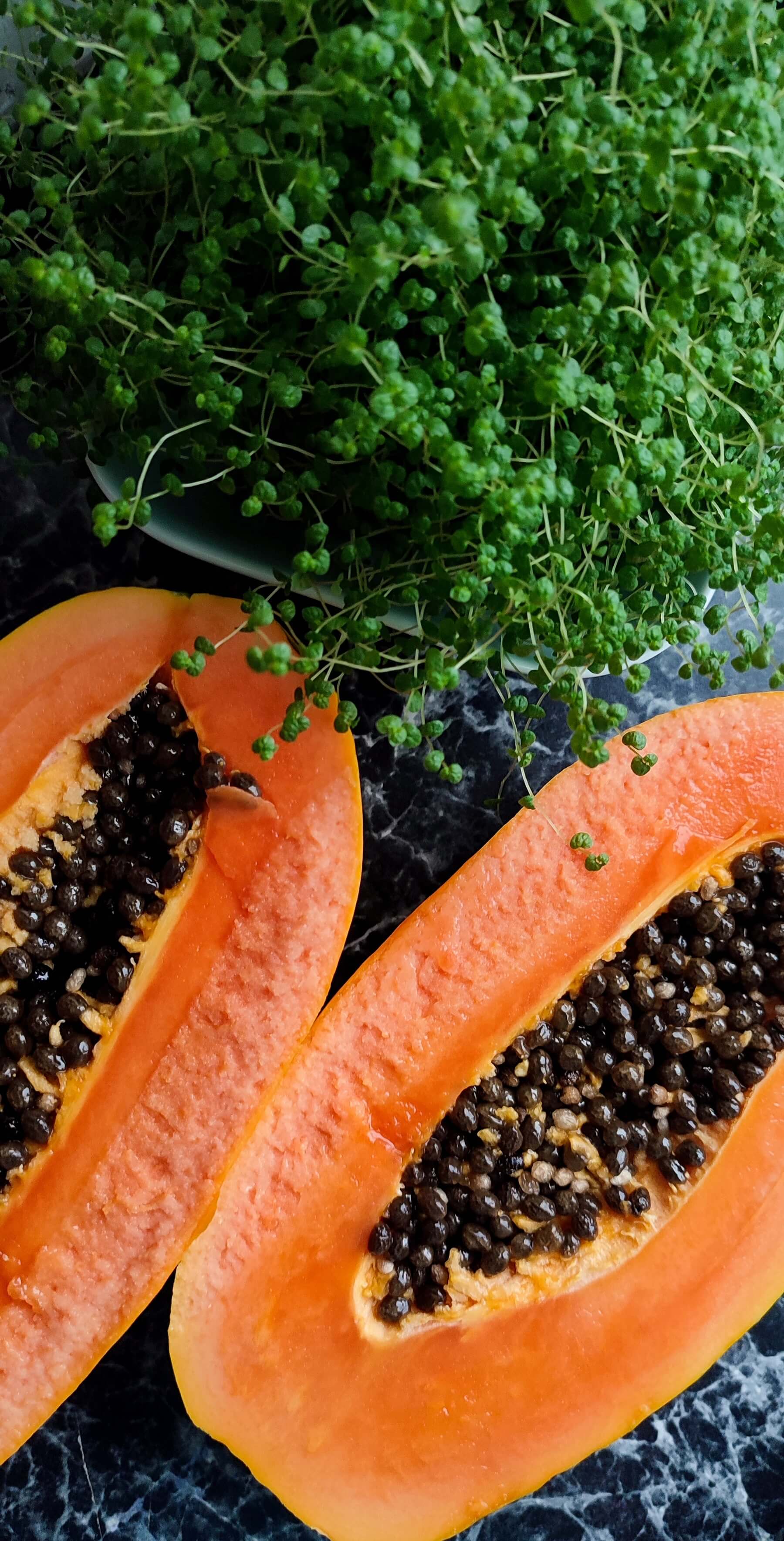 당뇨_잡는_슈퍼푸드_파바빈