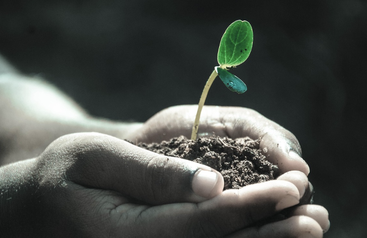 크루프(급성후두염)