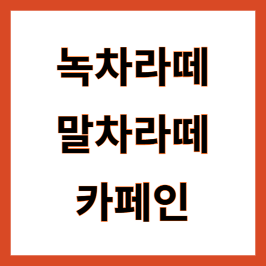 말차라떼 녹차라떼 카페인