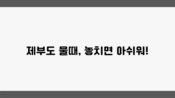 제부도 물때 시간표 확인하는 법