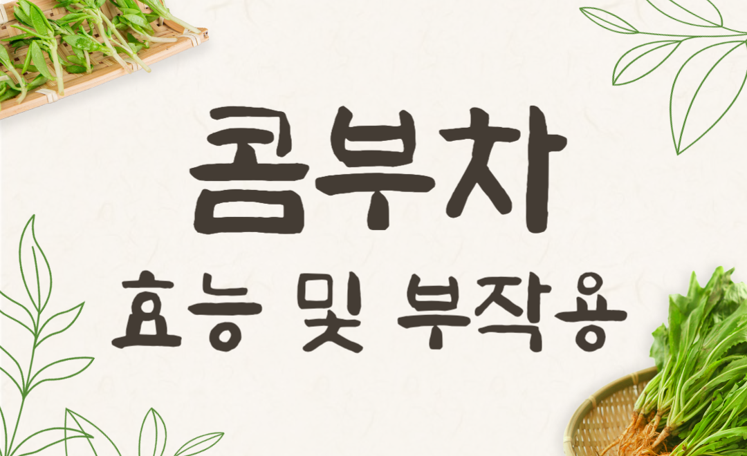 콤부차 다이어트 효과 있을까? 효능·부작용·카페인까지 싹 다 알려드림