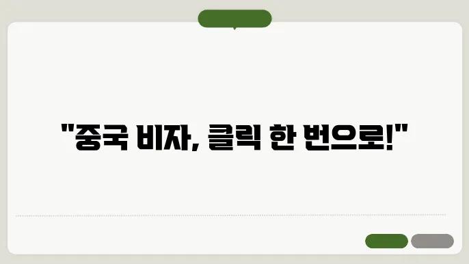 중국 비자 온라인 신좼