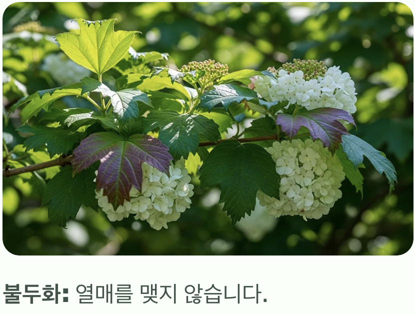 결정적 증거, 가을의 '붉은 열매'