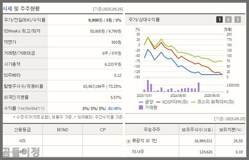 금양 유상증자 일정 확인, 신주인수권 상장일 전략과 주가 전망까지