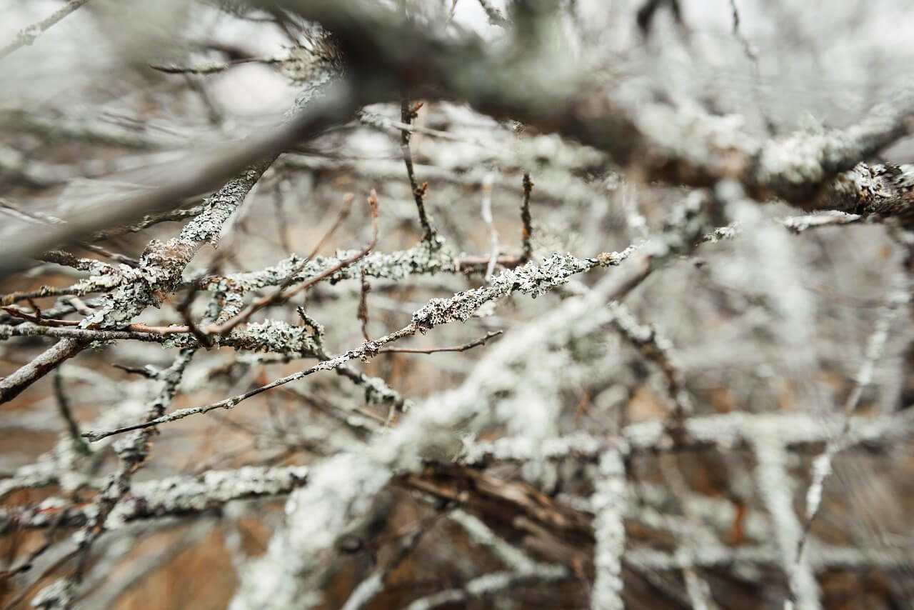 2025 소설 날짜 의미
