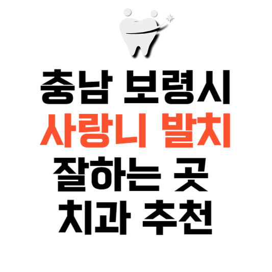 충남 보령시 사랑니 치과 발치 잘하는 곳 추천 매복 가격 비용.png