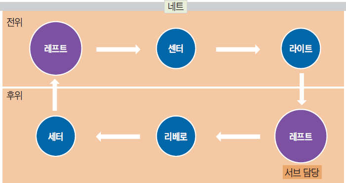 배구 경기 포지션과 역할