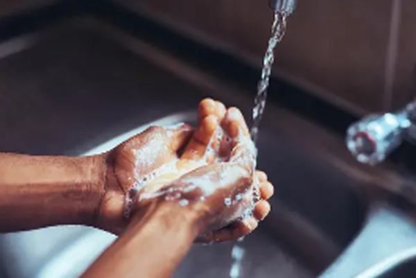 노로바이러스 전염