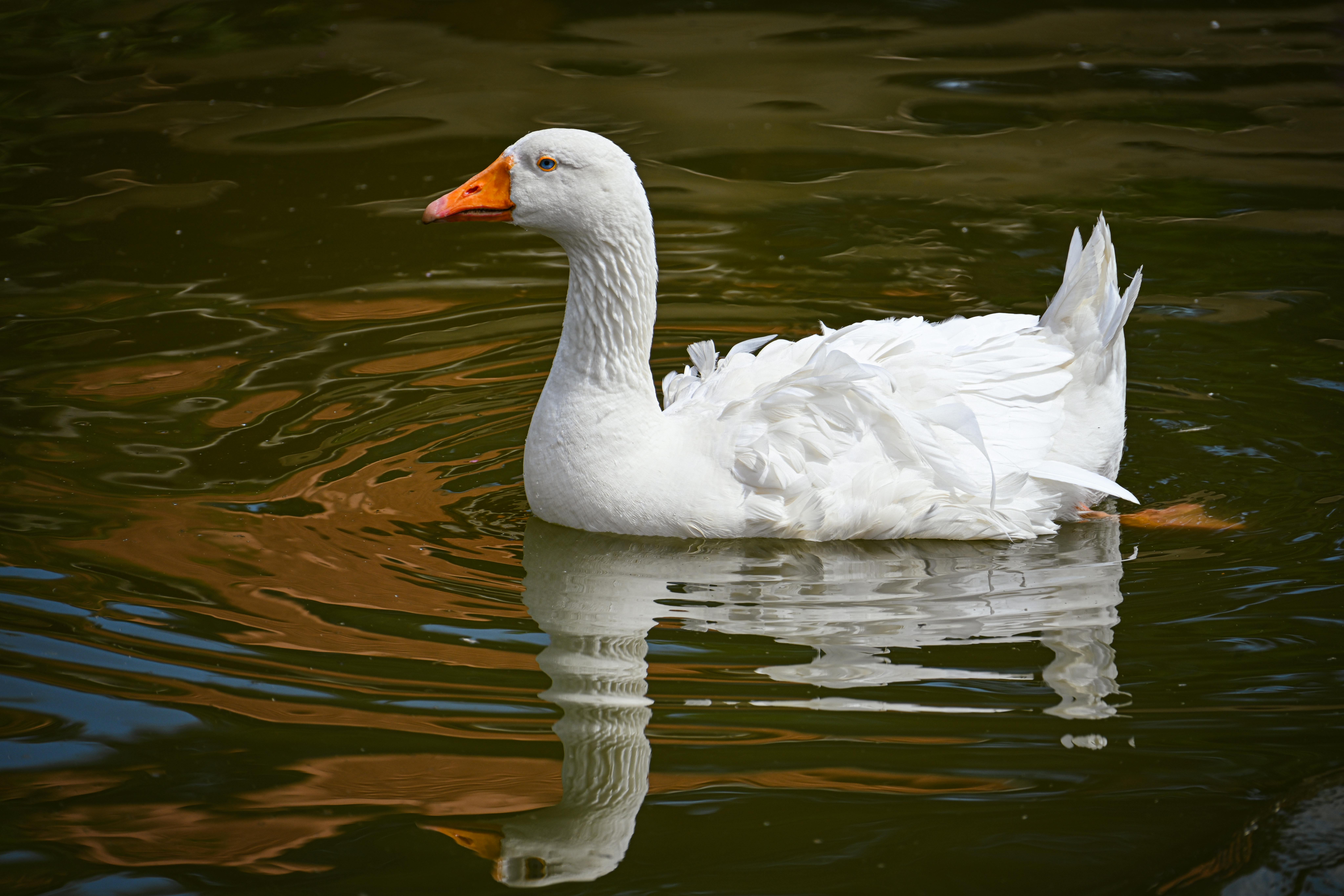 전여친과 다투는을 상징하는 이미지