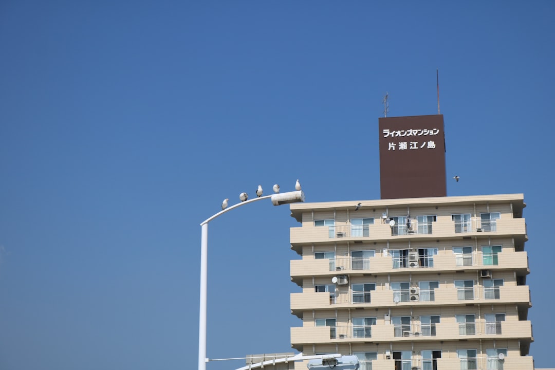 Brown Dot Hotel