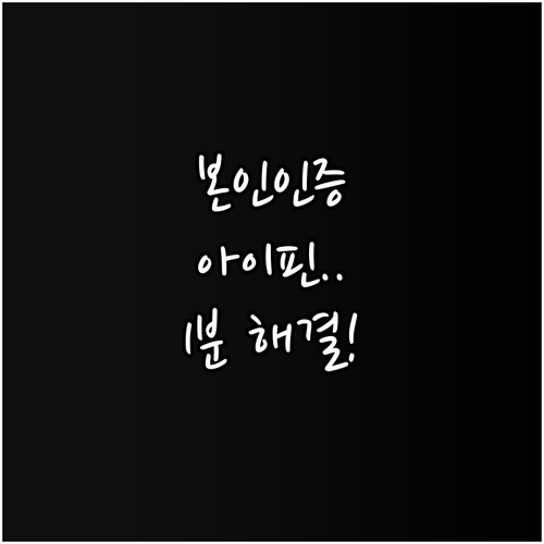 청년문화예술패스 본인인증 해결법과 아..