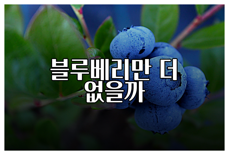 블루베리만 더 없을까