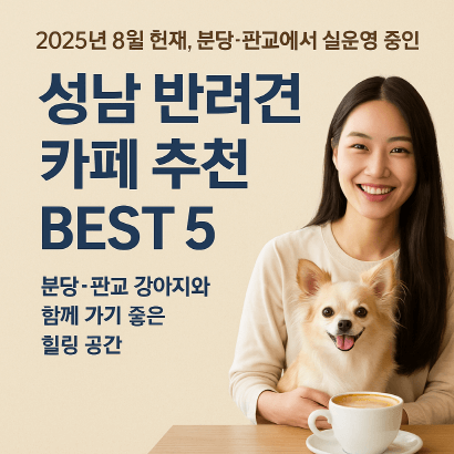 성남시 애견카페 BEST 5 : 판교·분당 반려견 동반 브런치 & 운동장 카페