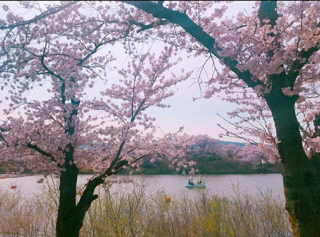 경주 가볼만한 곳 베스트 10 (2025 최신판)