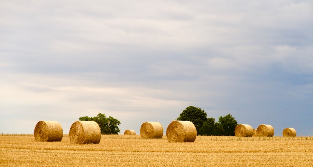 농지연금의 영어로 가장 중요한 명사는 Farmland Pension입니다.