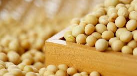 계절의 변화를 세분화한 24 절기 중 '춘분' 이해하기