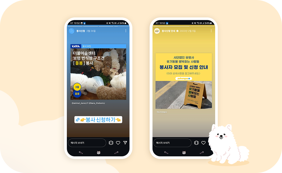 #유기견 #유기견봉사 #동물행동권카라 #카라 #유행사 #유기동물행복찾는사람들