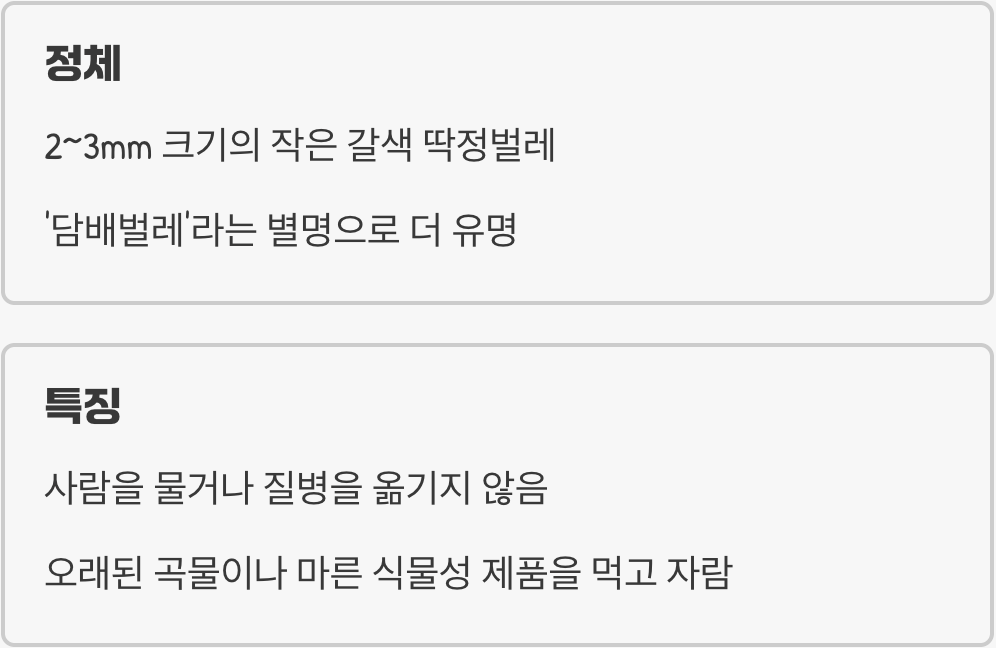 권연벌레&amp;#44; 넌 누구니? (정체와 특징)