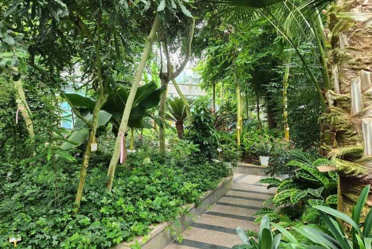 금강수목원 온실