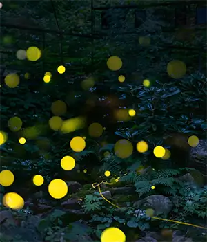 화담숲 테마별 사진