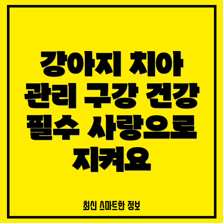 강아지 구강 건강 관리