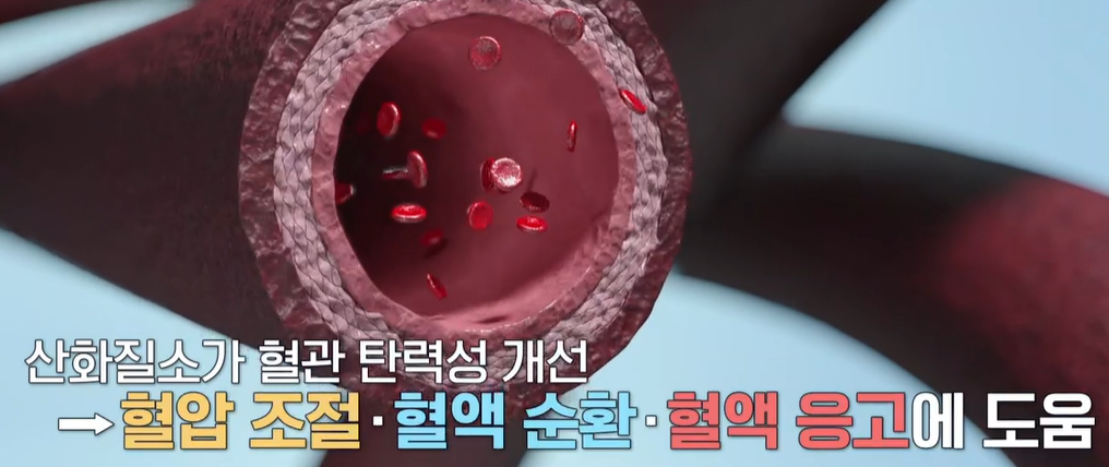 아르기닌의 효능 
