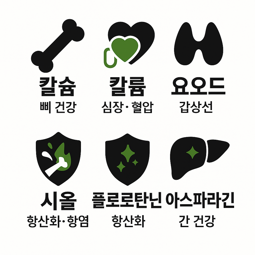 감태의 주요 성분과 효과 (일부)를 표현한 일러스트