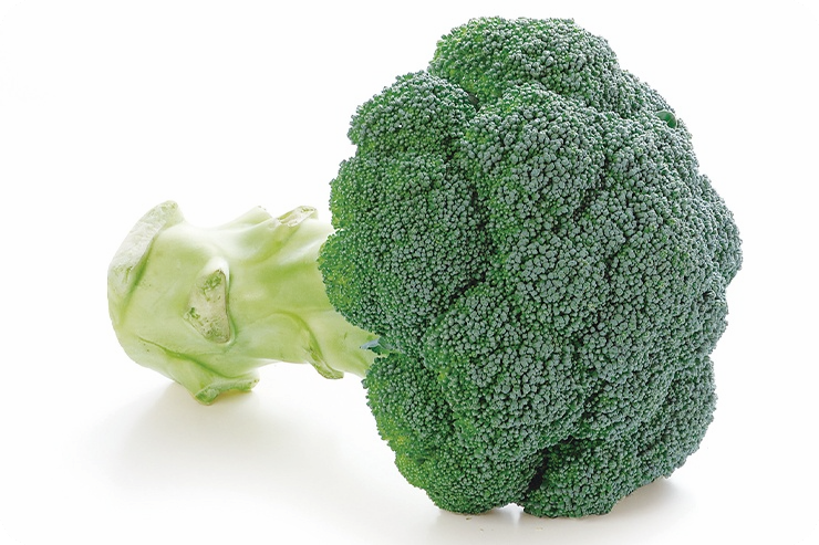 브로콜리-효능