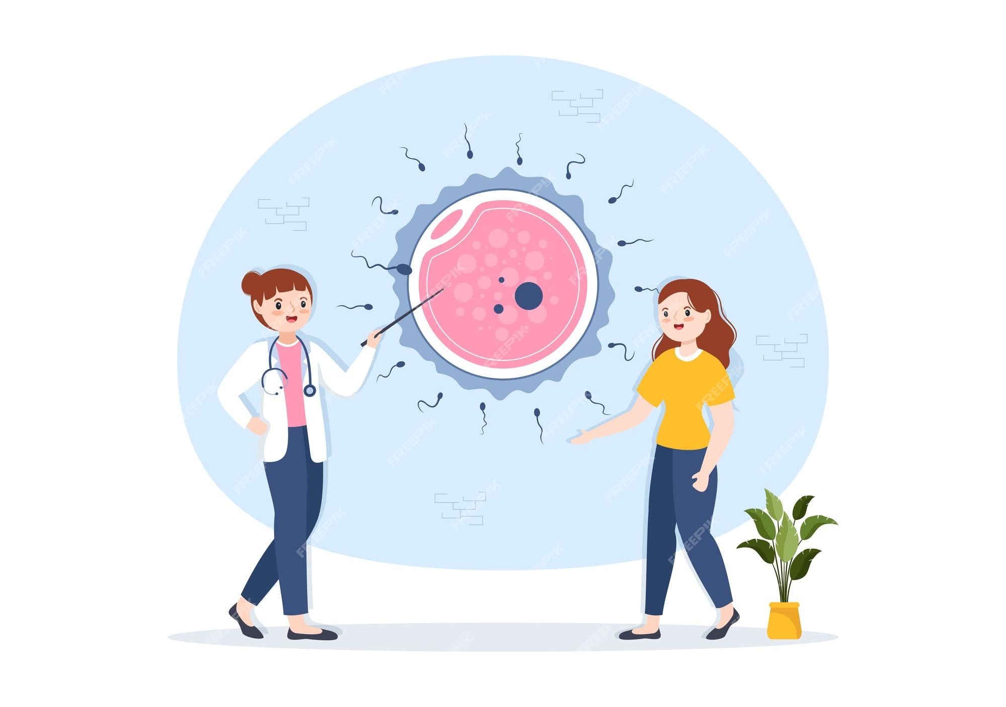 난임 영양제 , 수정 착상 임신에 대한 이미지