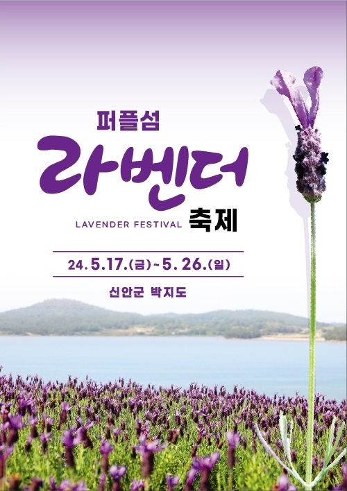 퍼플섬 라벤더축제6