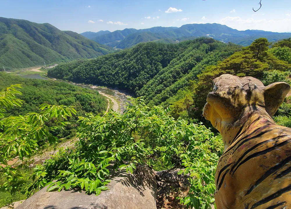 봉화 가볼만한곳 베스트10 현지인 추천 필수코스_7