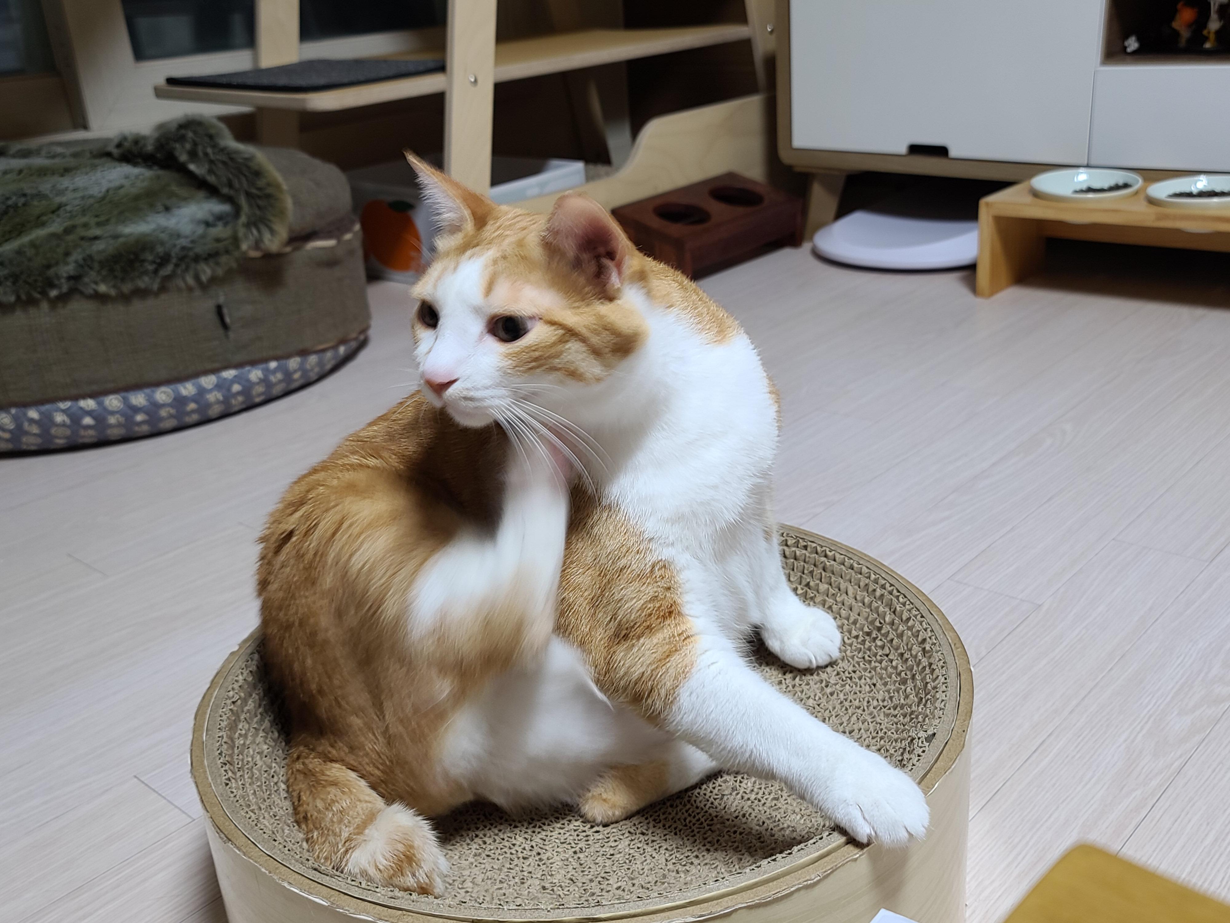 호야의 '동 to the 그 to the 라미' 스크래쳐 사용법.