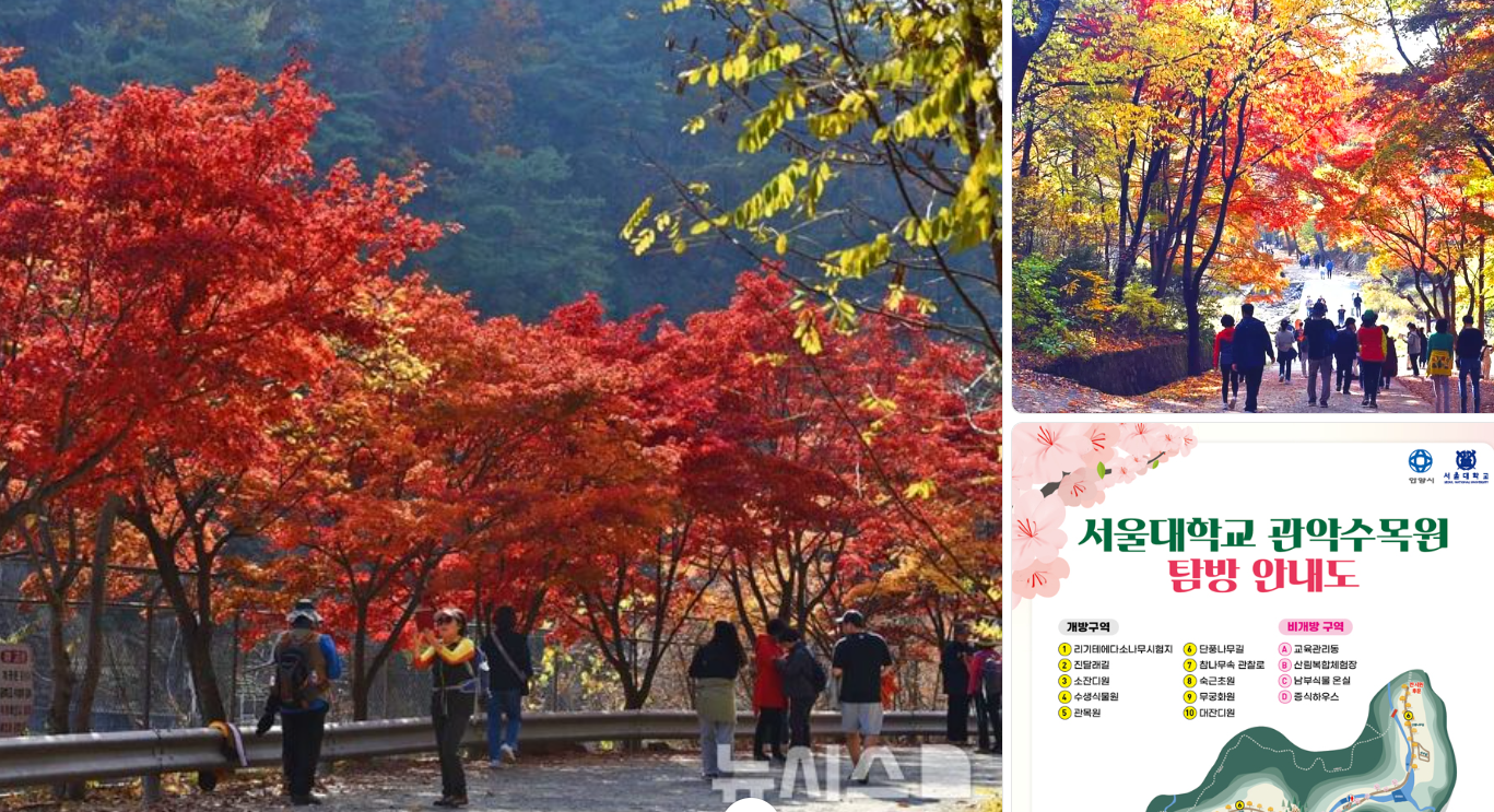 서울대 안양수목원 특별한 공간이 여러분을 기다리고 있습니다