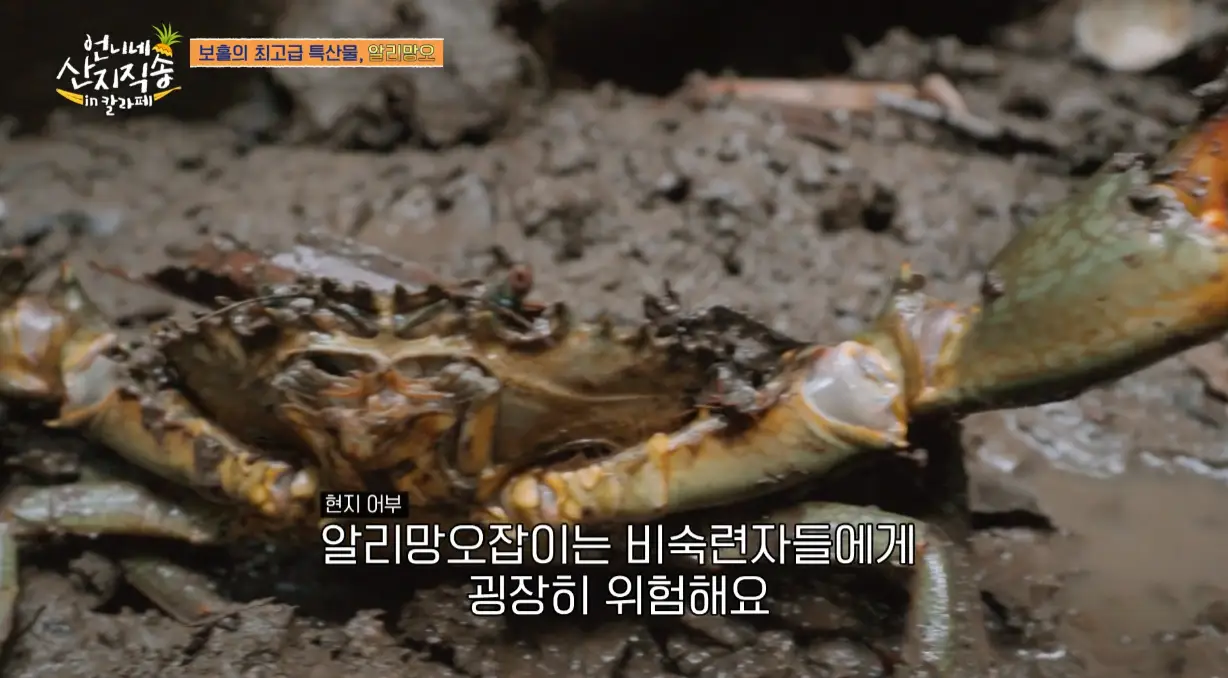 언니네 산지직송 칼라페 공식영상 장면