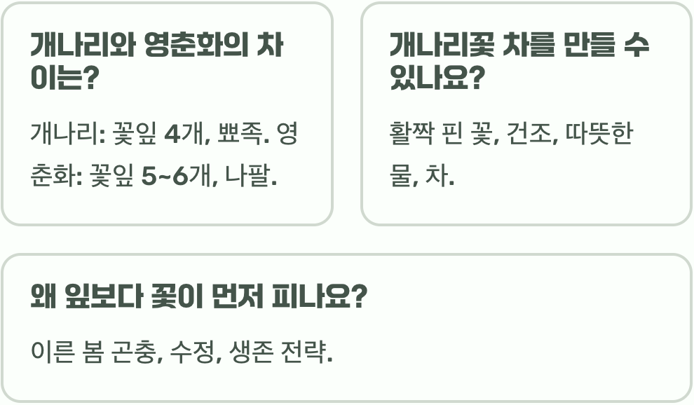 개나리 꽃말 희망과 달성의 상징으로 불리는 특별한 의미