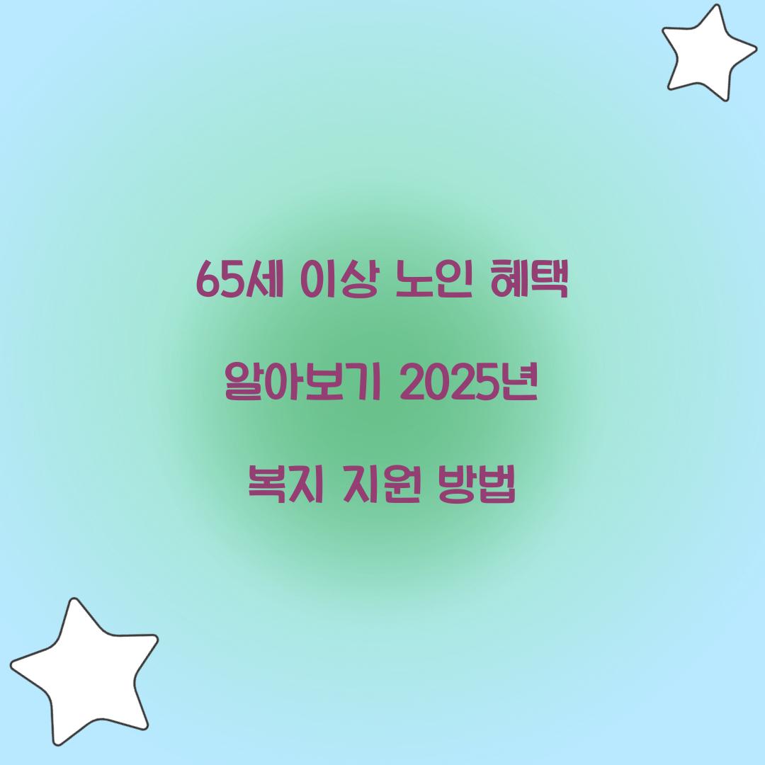 65세 이상 노인 혜택