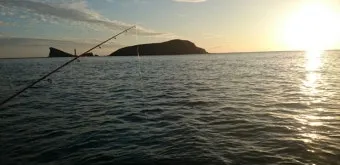 초보 바다낚시 최고 추천 명소 쉽게 낚시할 수 있는 추천 장소 5곳_23