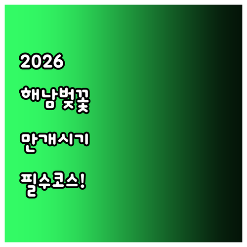 2026 해남 벚꽃 만개 시기 및 추..