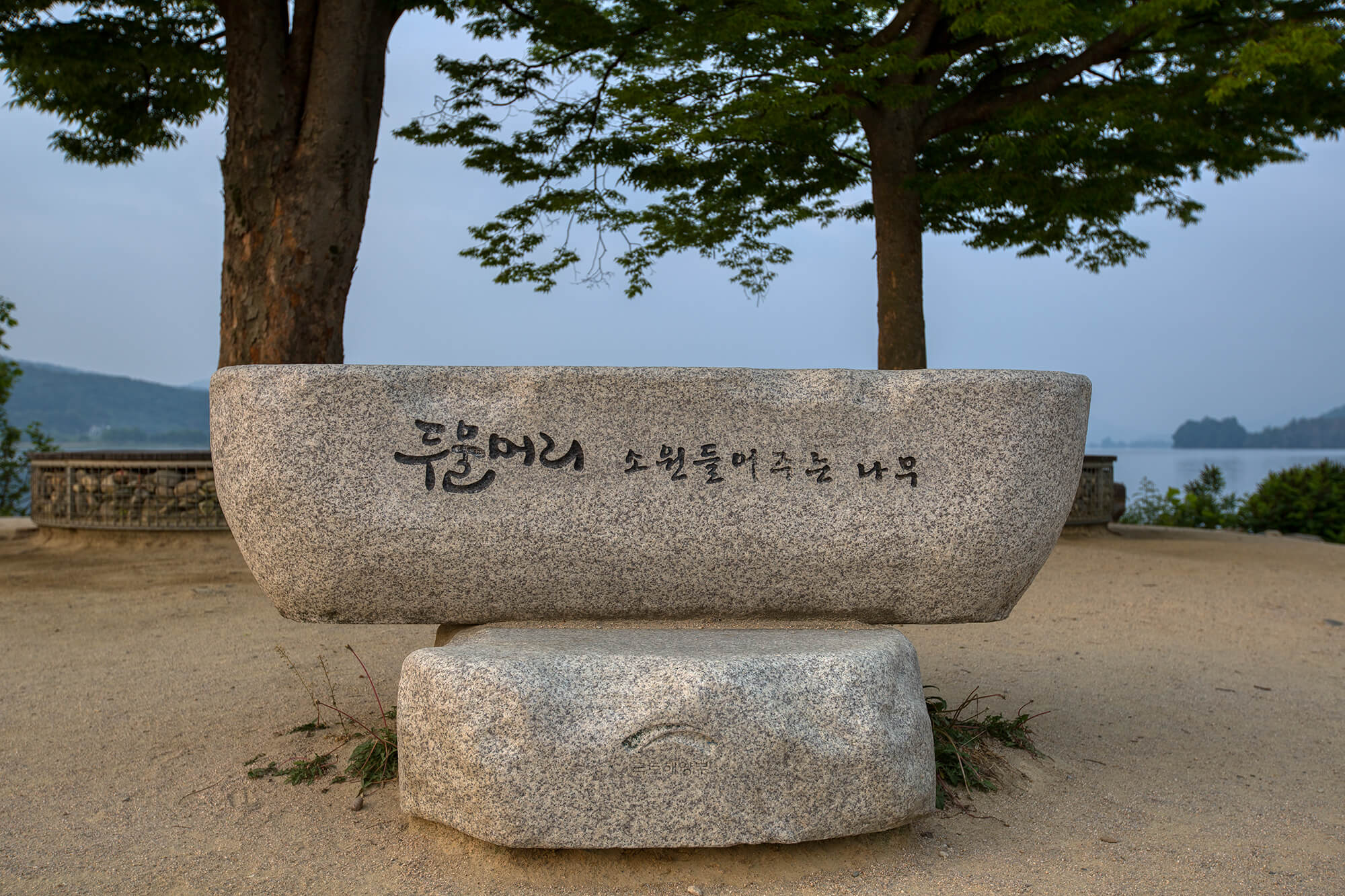 양평 두물머리 소원나무2