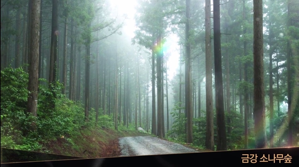 신반포 메이플자이 금강 소나무숲