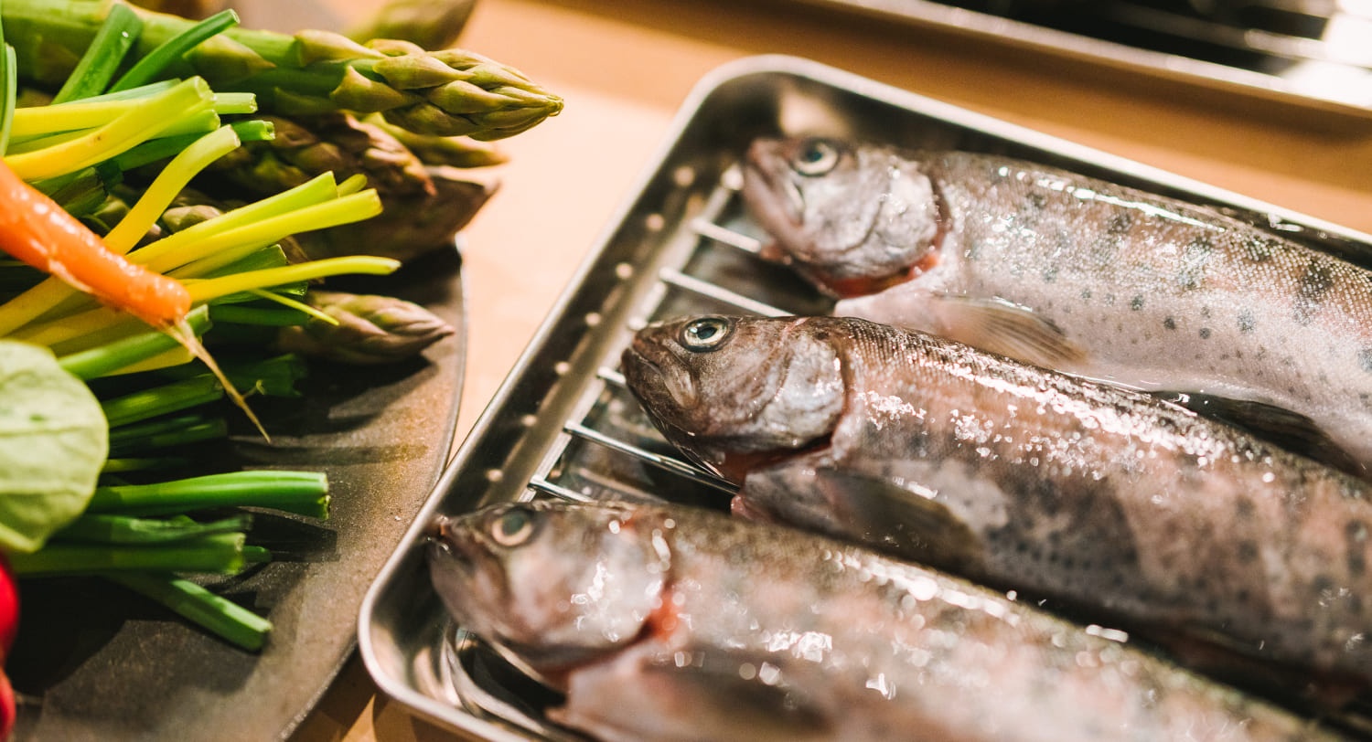 스노우피크 에버랜드 캠프필드